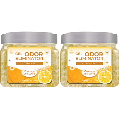 Gel Air Freshener Citrus Zest Pack of 2