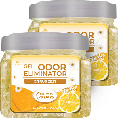 Gel Air Freshener Citrus Zest Pack of 2