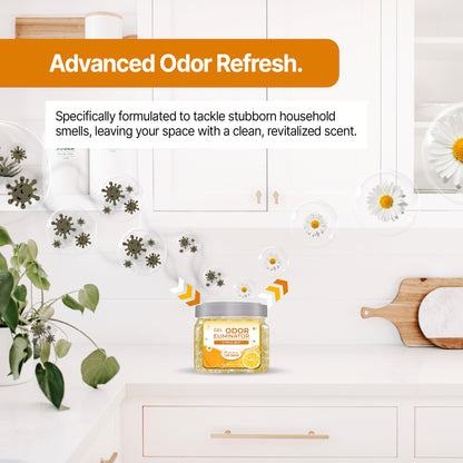 Gel Air Freshener Citrus Zest Pack of 2
