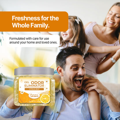 Gel Air Freshener Citrus Zest Pack of 2